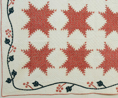 feathered-stars-quilt-with-applique-1405263-bottom-left-corner-detail-4