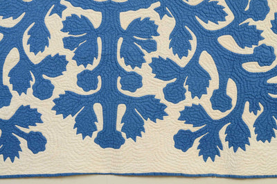 Close up on bottom border of Hawaiian Applique Quilt Circa 1930's with blue flower on white background.