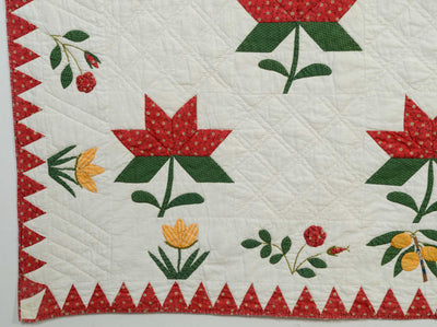 maple-leaf-quilt-with-botanical-border-1410995-detail-3